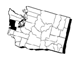 Grays Harbor