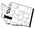 Lewis County