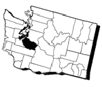 Pierce County